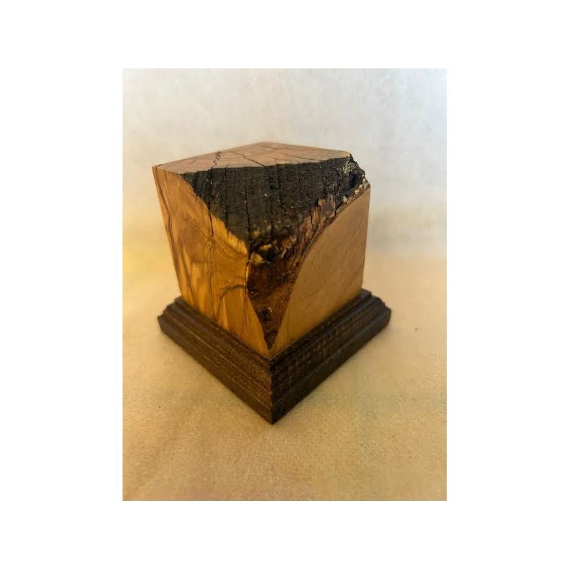 PEANA MADERA - OLIVO 5x5x6.5