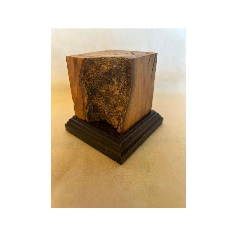 PEANA MADERA - OLIVO 5x5x6.5