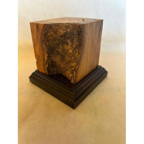 PEANA MADERA - OLIVO 5x5x6.5